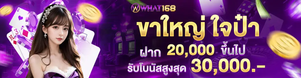 banner promotion3